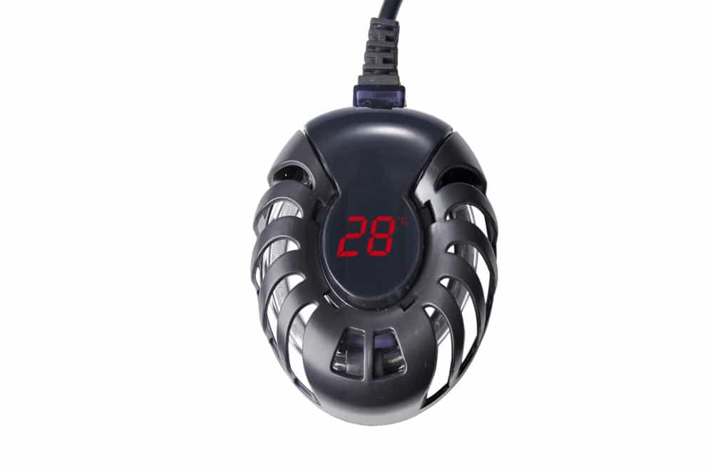25-Watt-digitale-Aquarium-Heizung-bis-50l-Aquarie_1