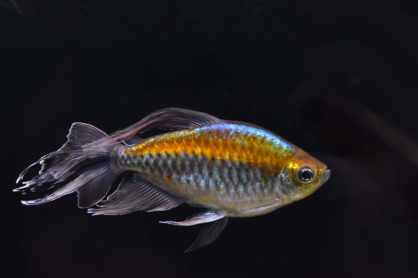 747e2cd5-08f3-4f21-ad5c-e273128e39f8