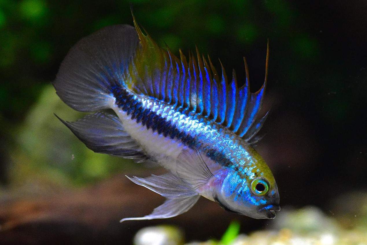 a272f52d-c9fe-45fa-9cb6-955859afeda1