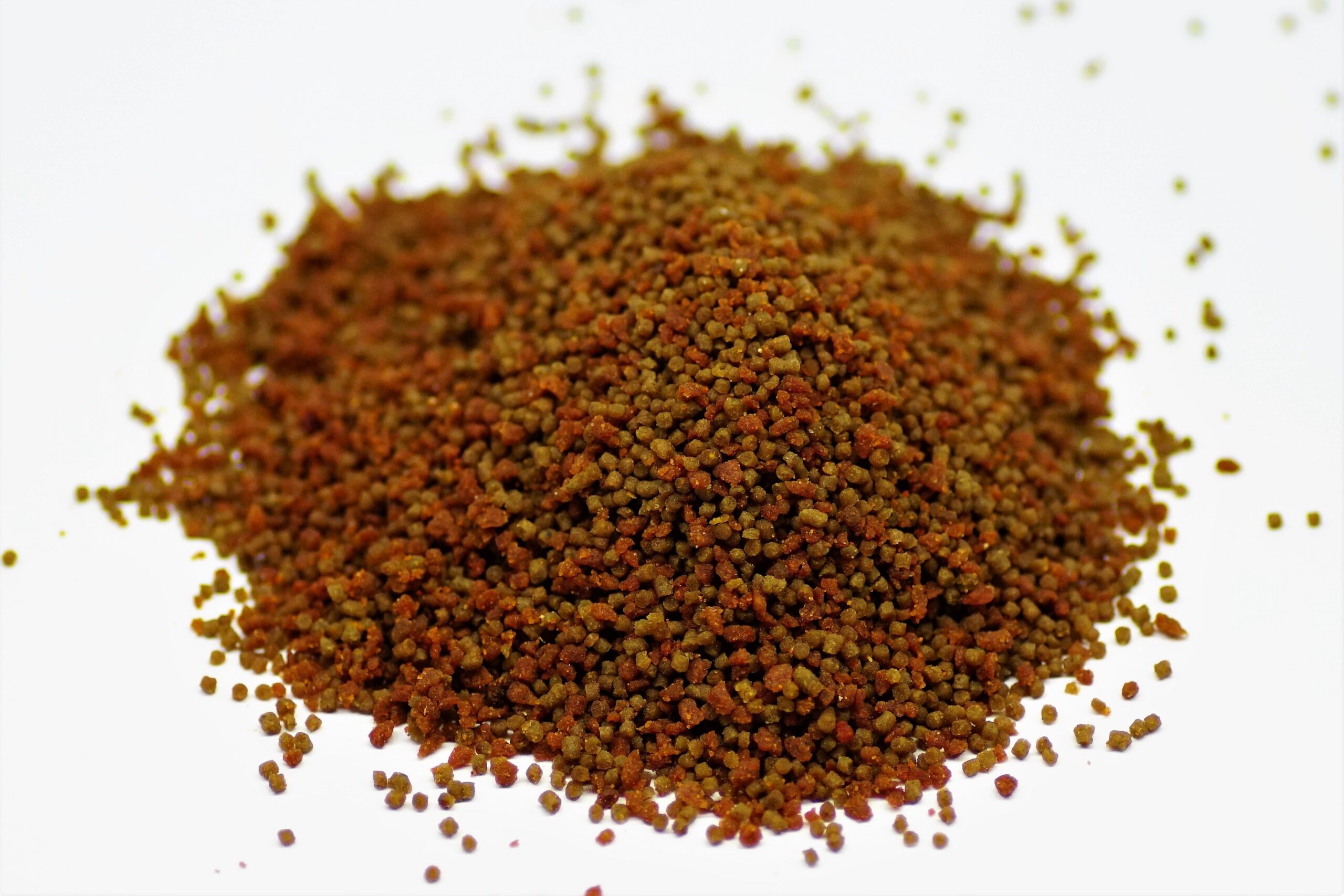 Fishtopia All 4 Fish pur